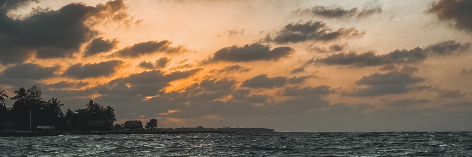 PotesCarolina's profile banner image
