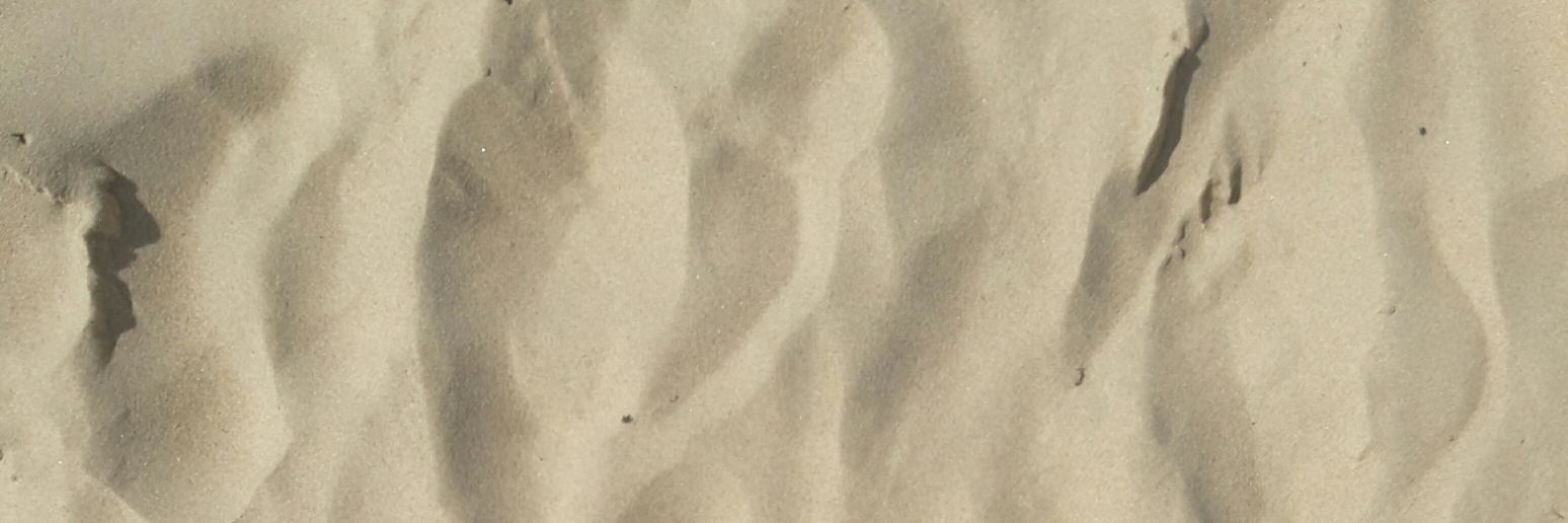 Dianouu_'s profile banner image