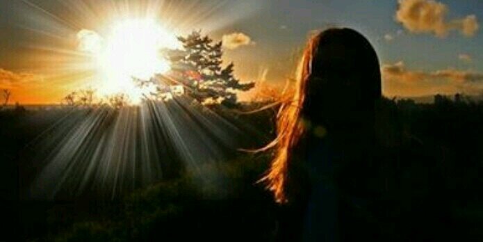 aracicorio's profile banner image
