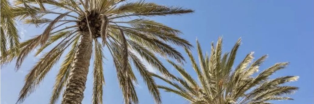 StephSaysIt's profile banner image