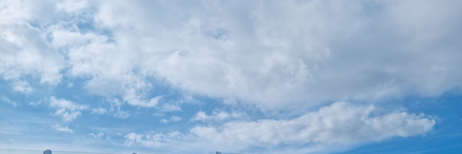 daniela.jpg banner