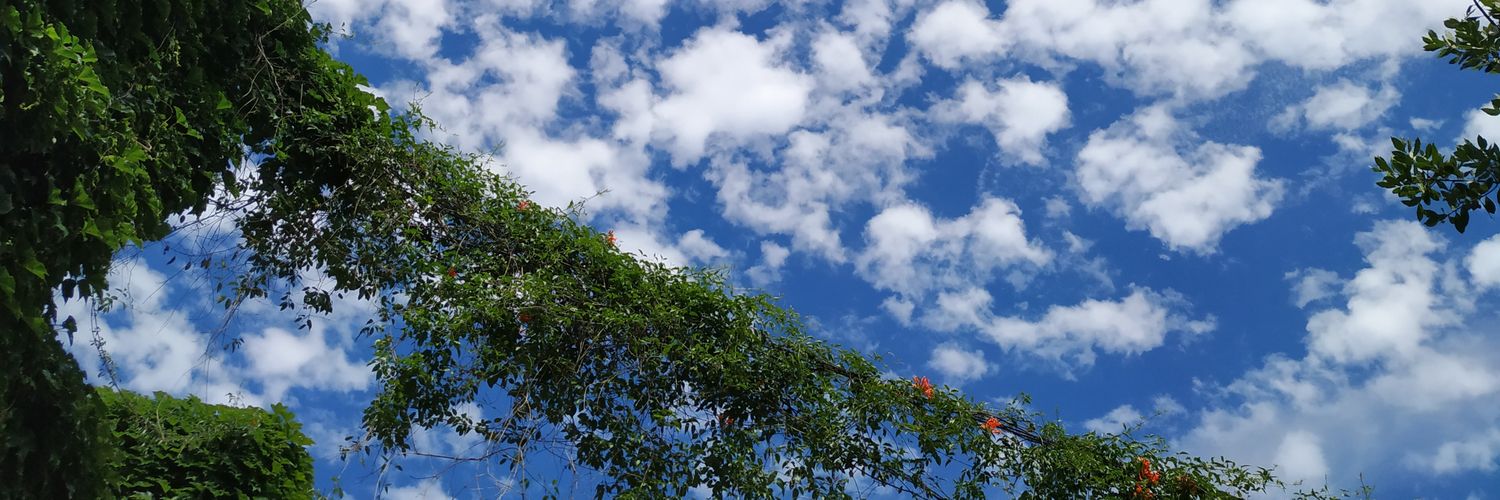 memimartin's profile banner image
