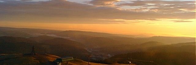 melibea4's profile banner image