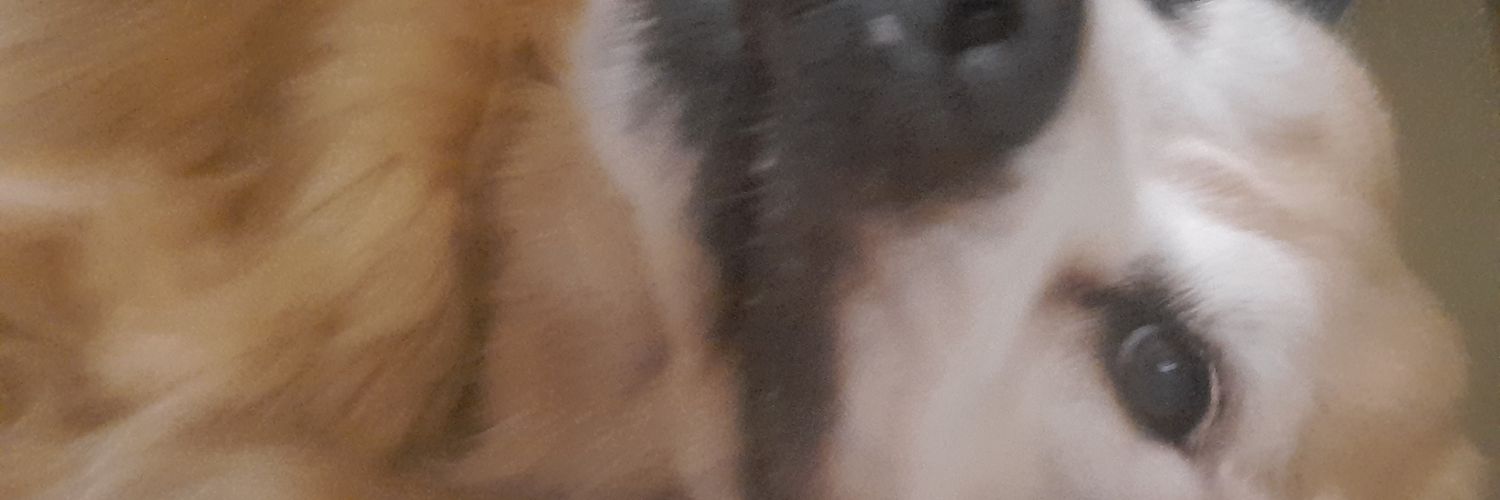 Sandricti's profile banner image