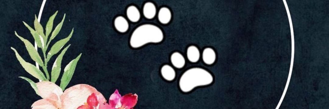 NURSIDAR's profile banner image