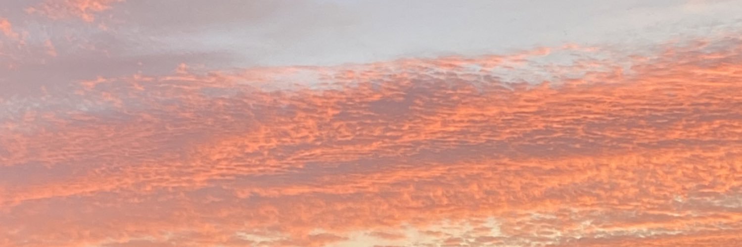 SaraCapde22's profile banner image