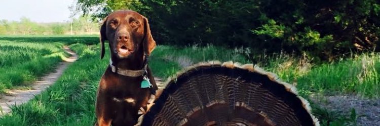 BlakeCowdin's profile banner image