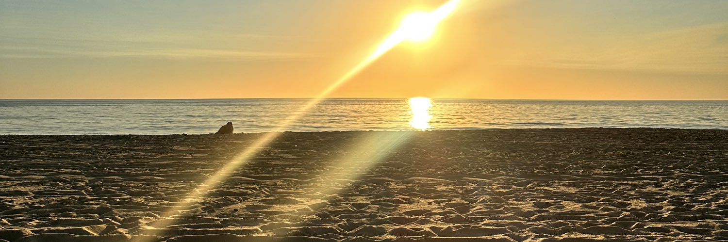 justtrh's profile banner image