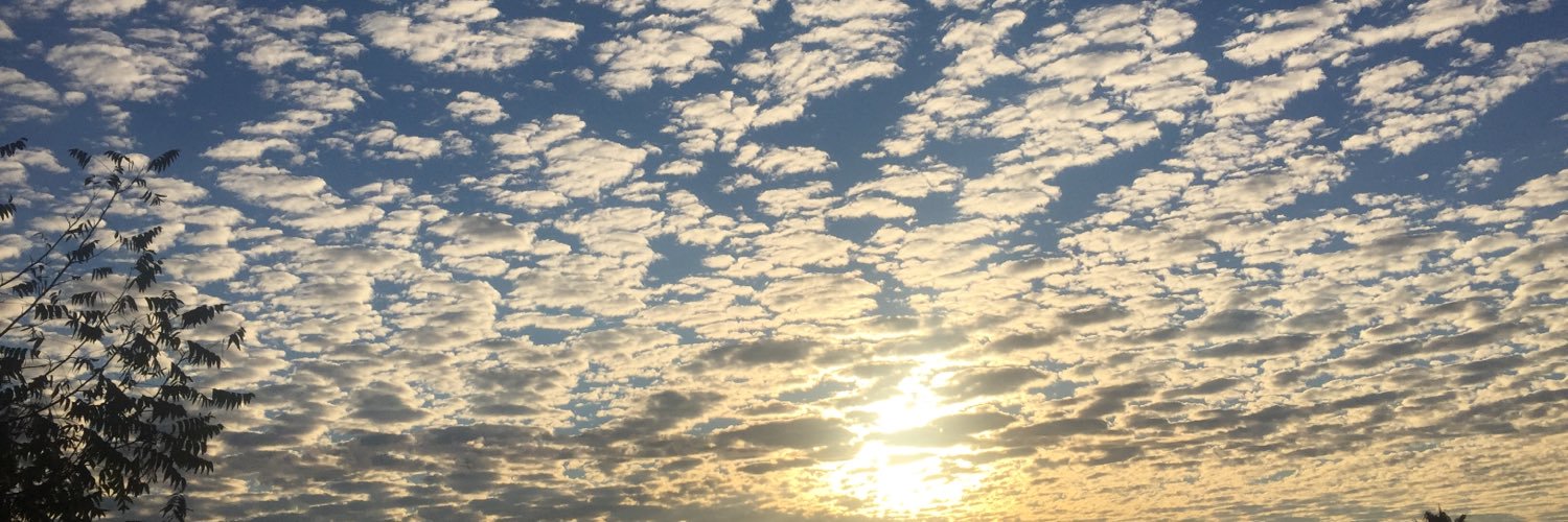 kelleybarber's profile banner image