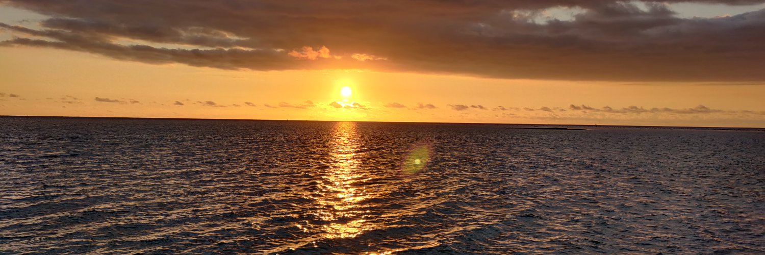 TchuiOrNot 🇲🇺 banner