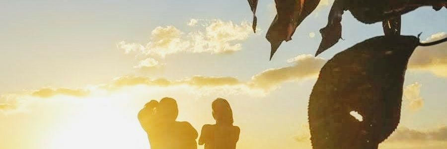 MarianRogerG's profile banner image
