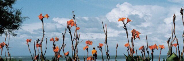 𝖒𝖎𝖈𝖍𝖊𝖑𝖑𝖊 banner