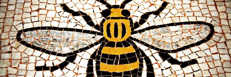 Antonia_WH's profile banner image