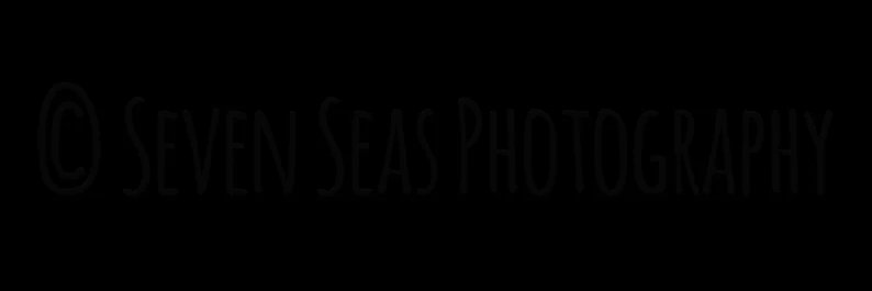 speculationist's profile banner image