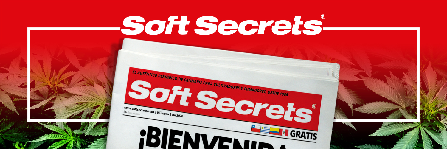 soft_secrets's profile banner image