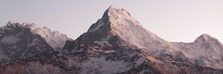 ReverendaLoca's profile banner image
