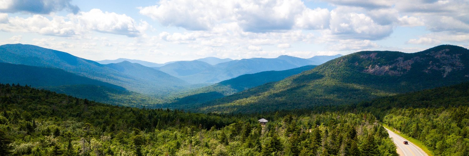 Casey L. Roark banner