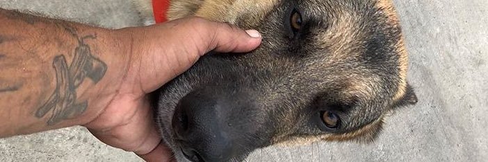 jeezytrill's profile banner image