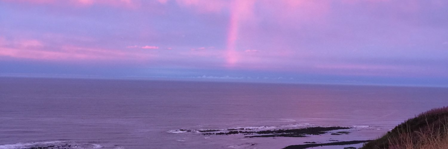 therealnabsi's profile banner image