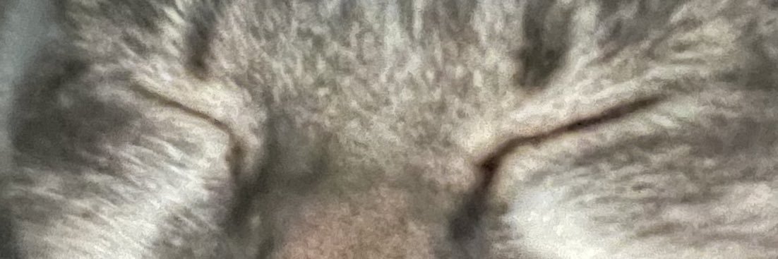 chaqqch's profile banner image
