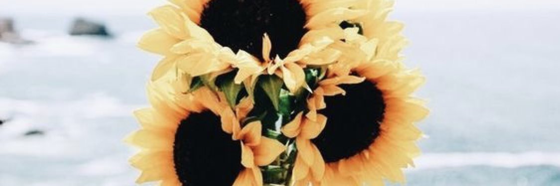 jamieee_son's profile banner image