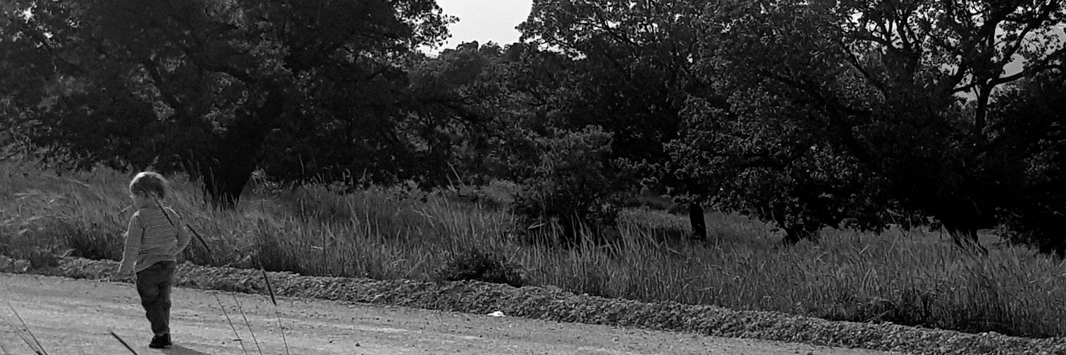 Hala Ghanem (حلا) banner