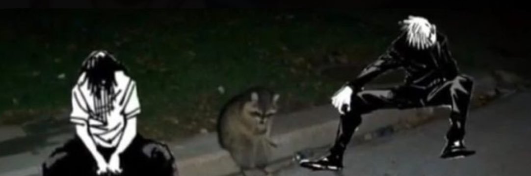 kittyfastcar's profile banner image