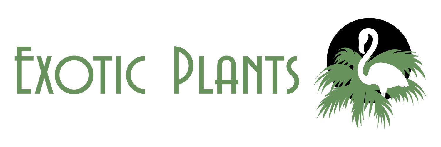 exoticplantsltd's profile banner image
