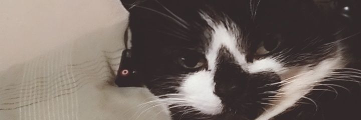 DanielManning__'s profile banner image