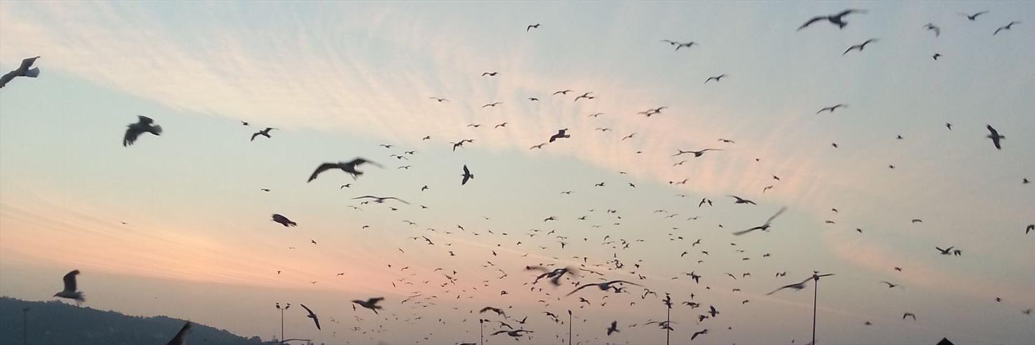 jandro_199's profile banner image