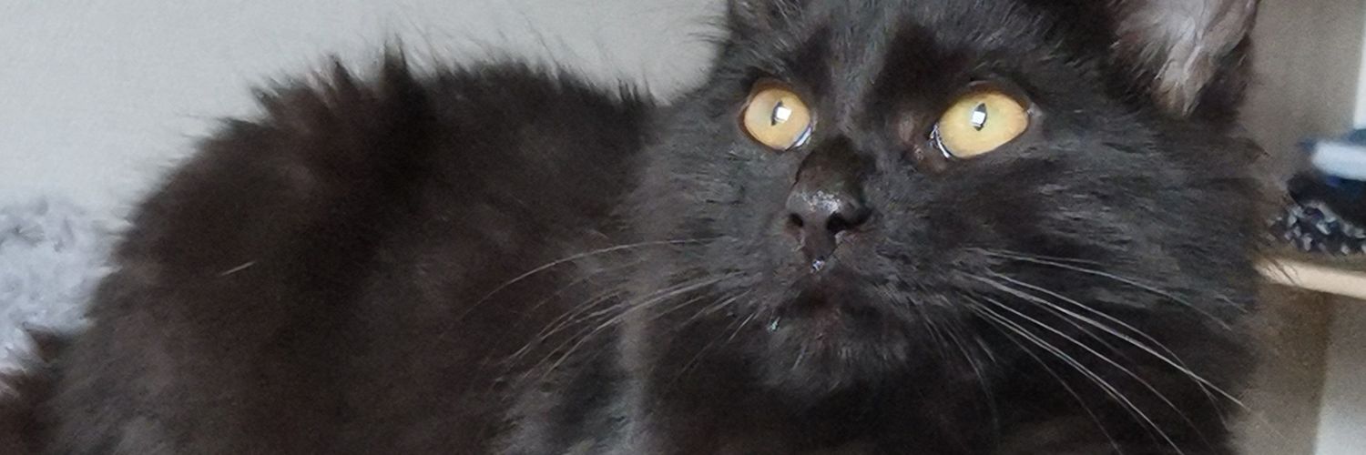 Smooozzy's profile banner image