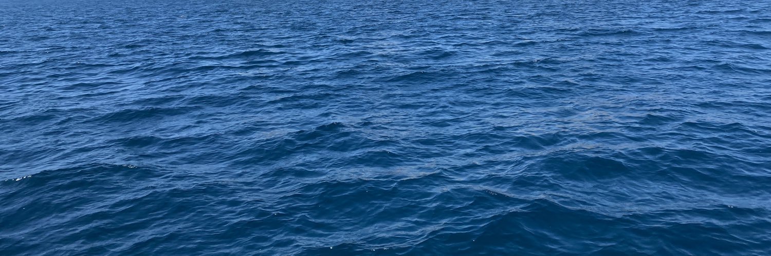 RobertPFunez's profile banner image