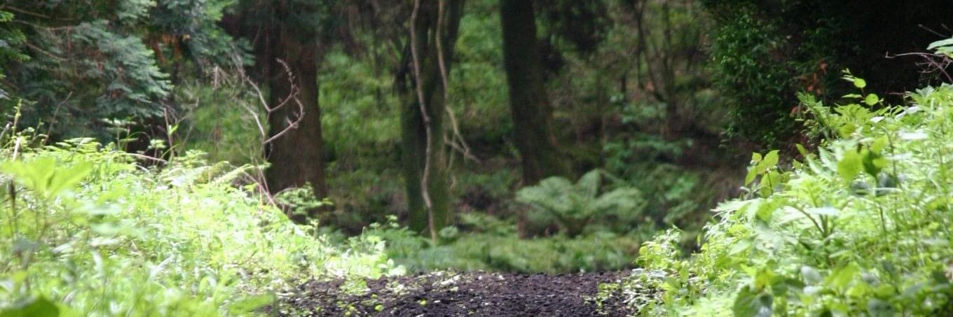 _toku33's profile banner image