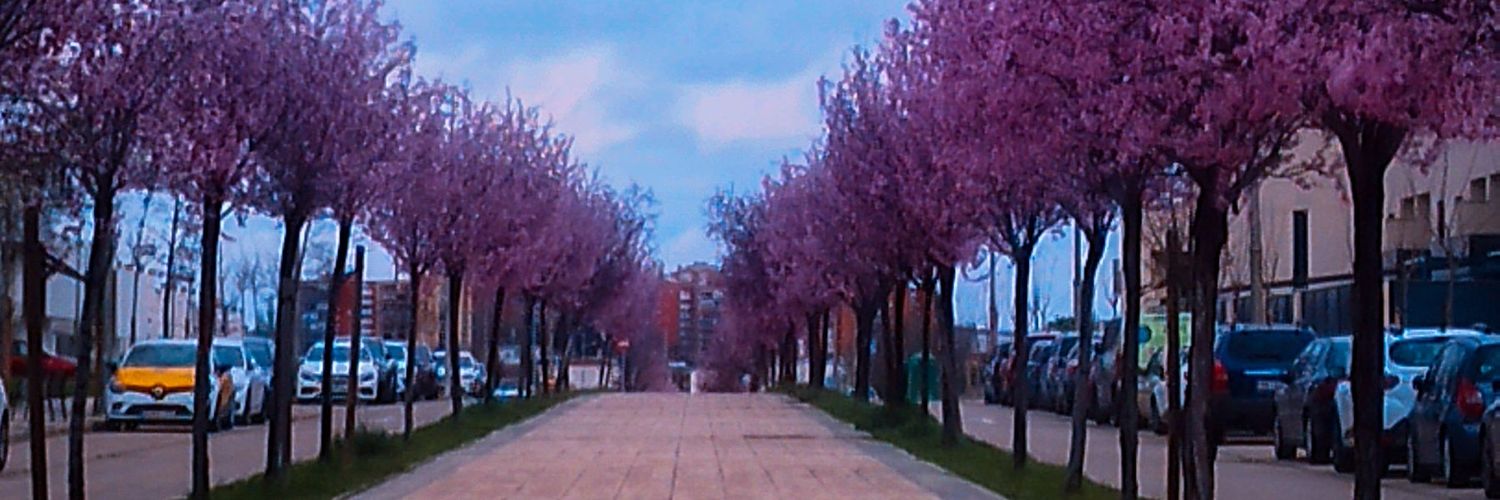 ManuAct18's profile banner image