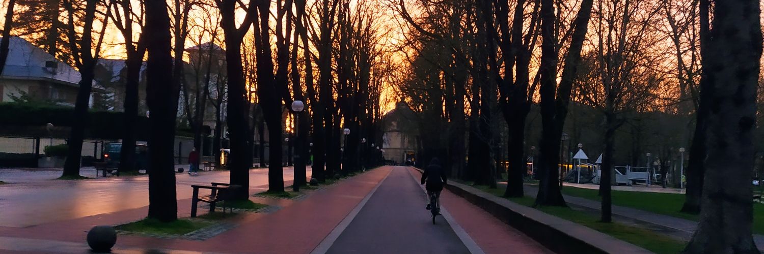 mireia alarcon banner