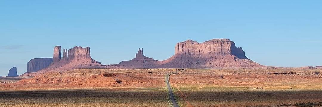 Christopher Dyer banner