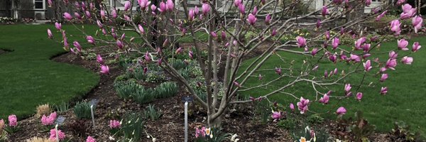 meggiewalk Profile Banner