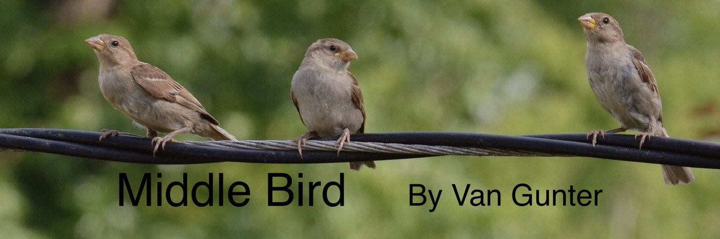 vansayword's profile banner image