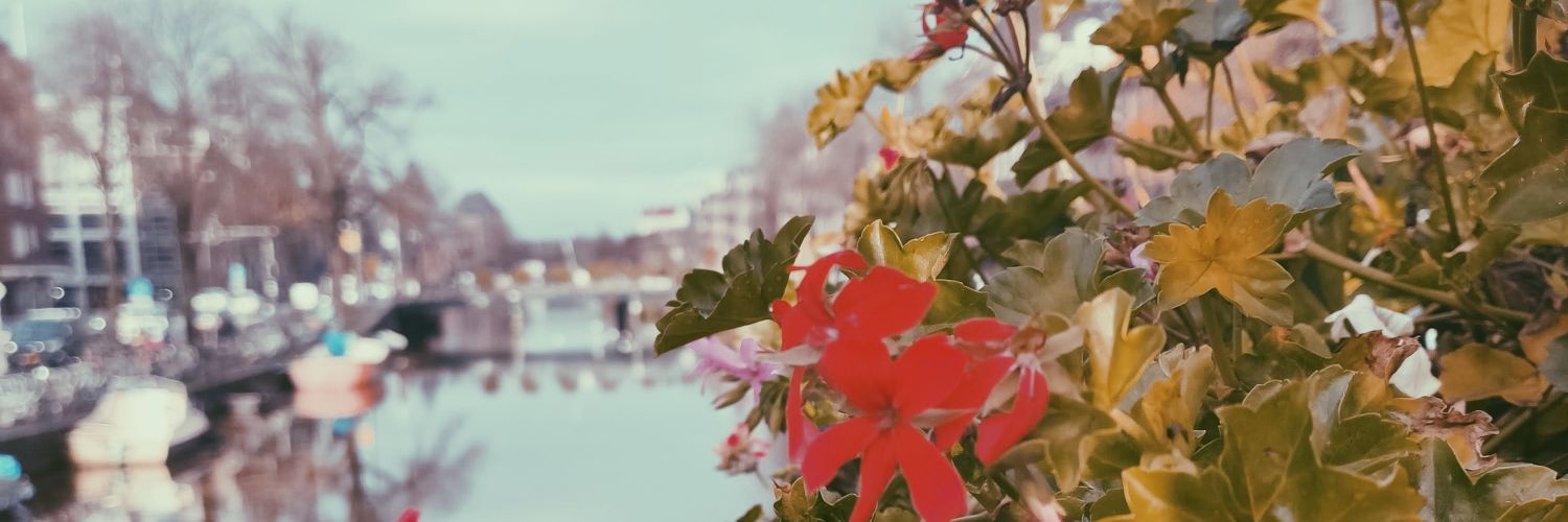Irene banner