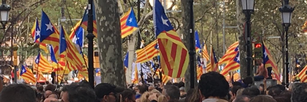 dolors1965's profile banner image