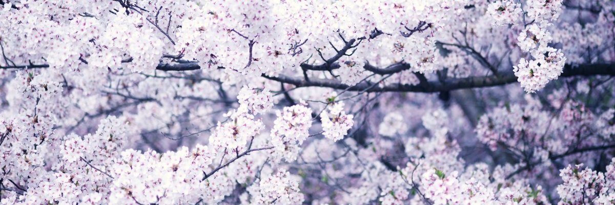 Yar_imir's profile banner image