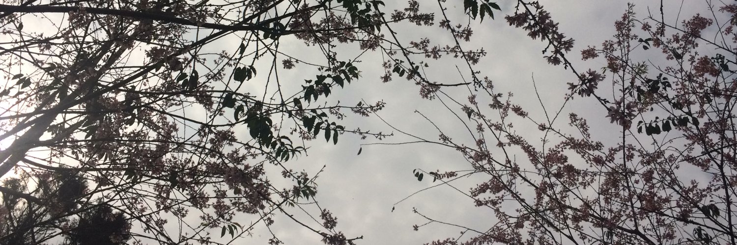 GabyFMonteiro's profile banner image