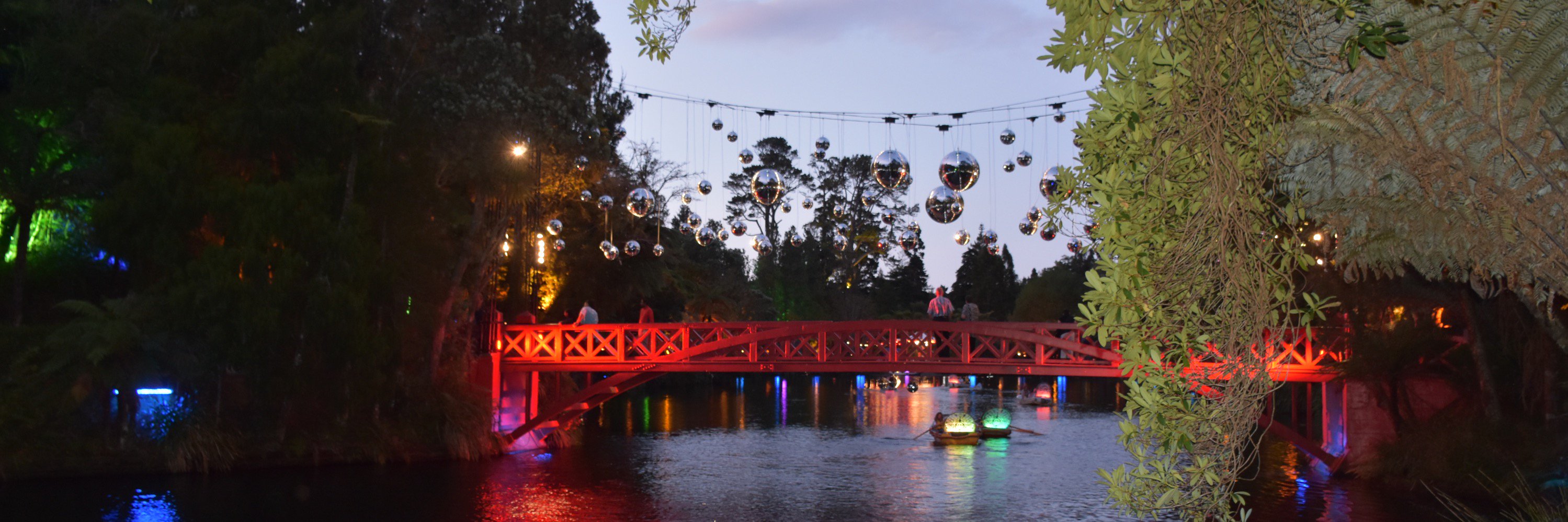 Alison Hayward MD banner