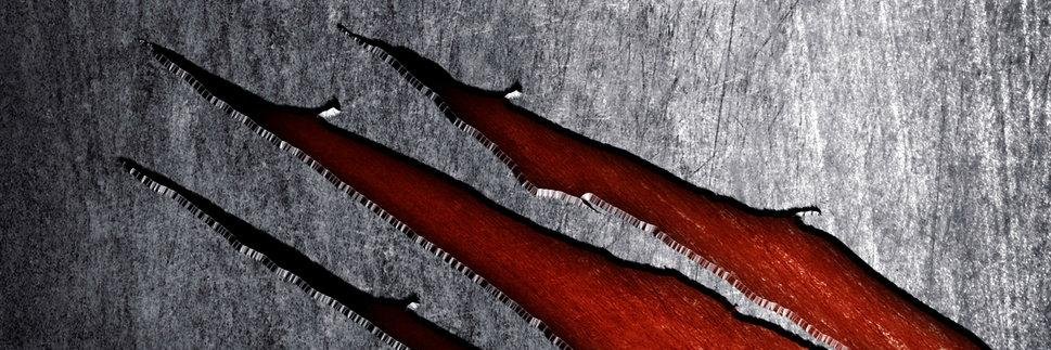 sdelcanto's profile banner image