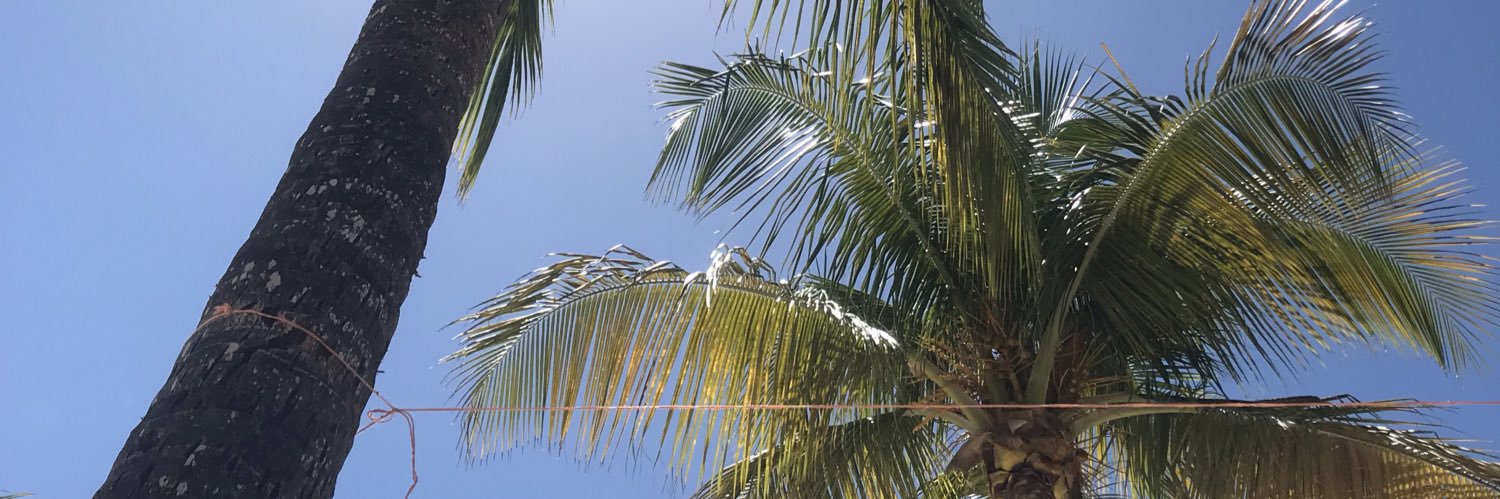 CreolineM's profile banner image
