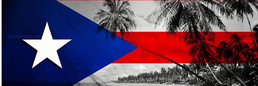 DomCottoBiz's profile banner image