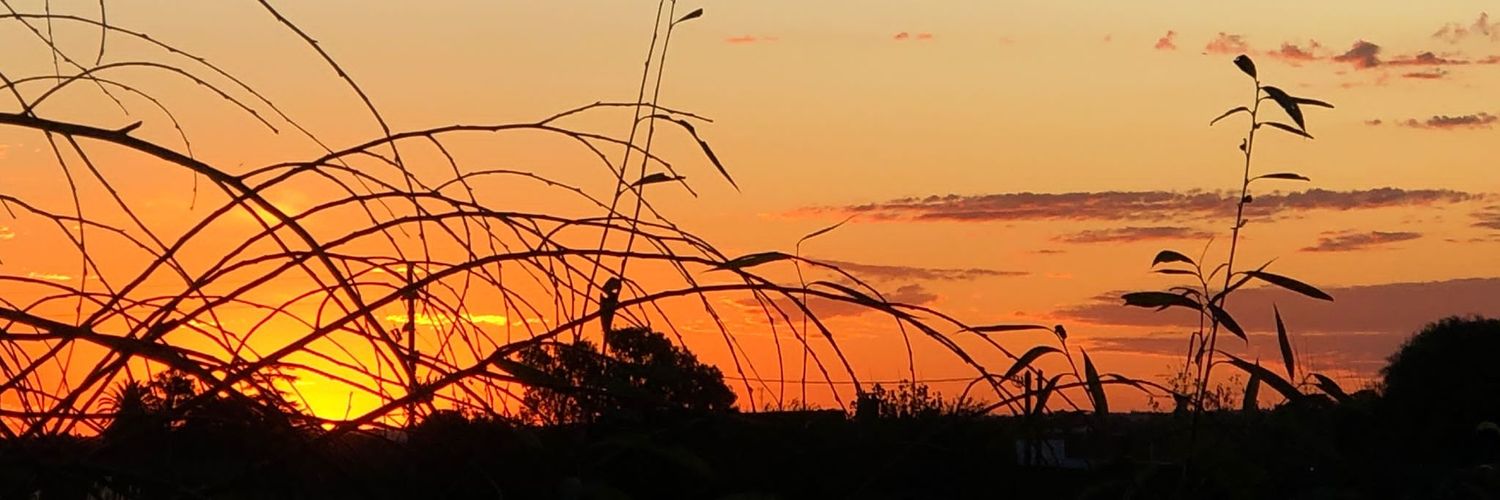 veronicaaceve12's profile banner image