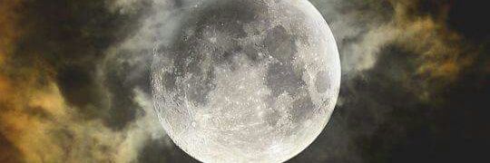 FRED.°⚓⚓⚓ banner