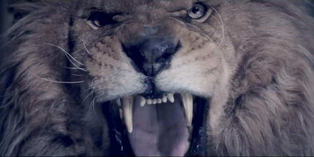 Elhadj_D's profile banner image