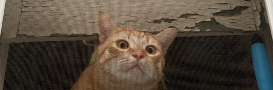 KieraMallory's profile banner image